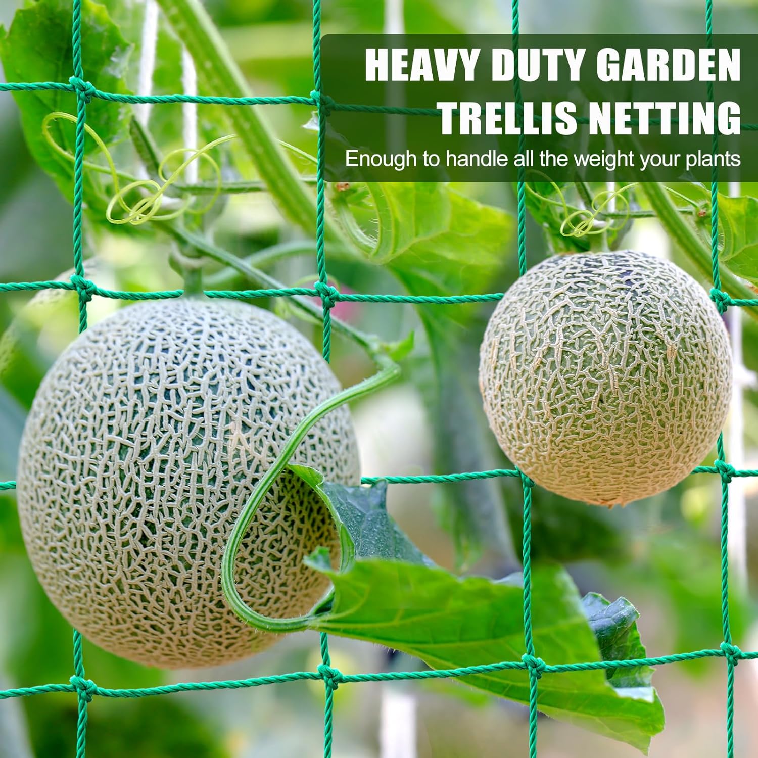 Red para pepinos de jardín para plantas, red trepadora de nailon blanco, malla de vid de poliéster resistente para tomate y uvas
