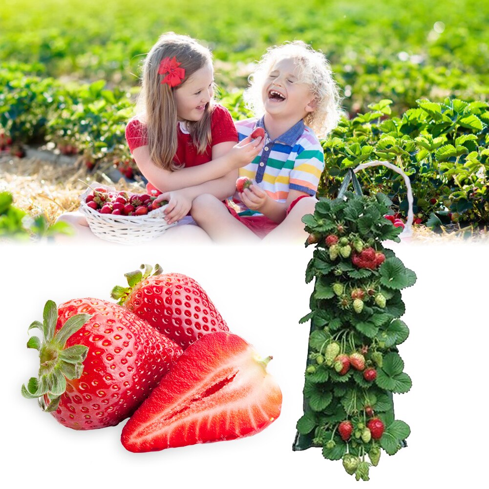Net Bag Mesh Cheap Pouch For Packing Vegetables And Fruits With Custom Laminated Film