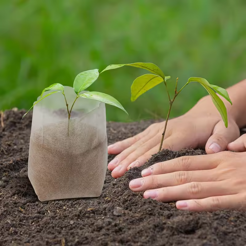 Sacchetti per piantine Confezione da 100 sacchetti per vivaio in tessuto non tessuto degradabili Sacchetti per coltivazione di piantine in tessuto Custodia per piante per forniture agricole da giardino