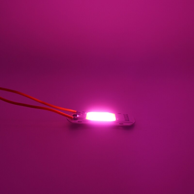 10pcs Hydroponice AC110V 220V 20W 30W 50W COB LED Grow Light Chip Volledige Spectrum Dag warm Wit Voor Indoor Plant Zaailing Groei