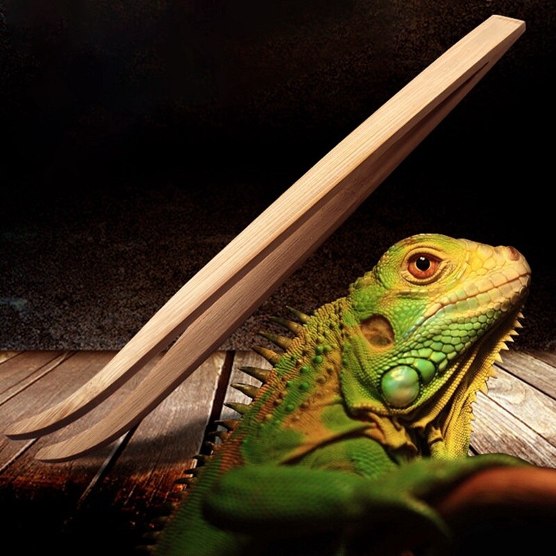 Terrario para reptiles Angry, nueva novedad, pinzas para alimentar pinzas de bambú respetuosas con el medio ambiente