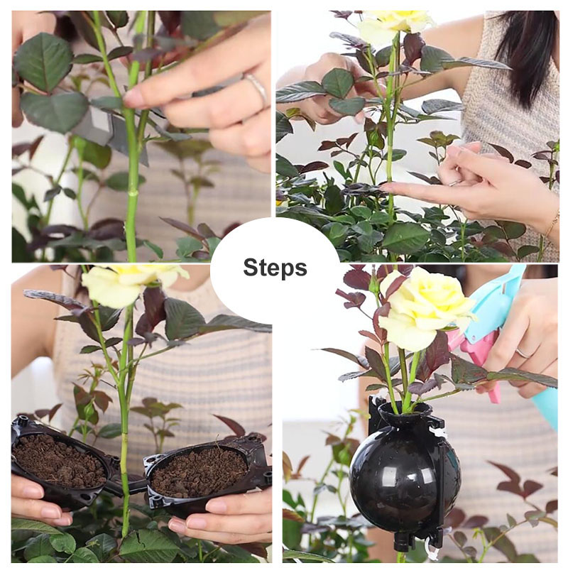 5 cm 8 cm 12 cm Transparente Vermehrung Baum Pflanze Verwurzelung Ball Wurzel Wachsen Kasten Kindergarten Töpfe Transplantat Zucht zweig fallen K5