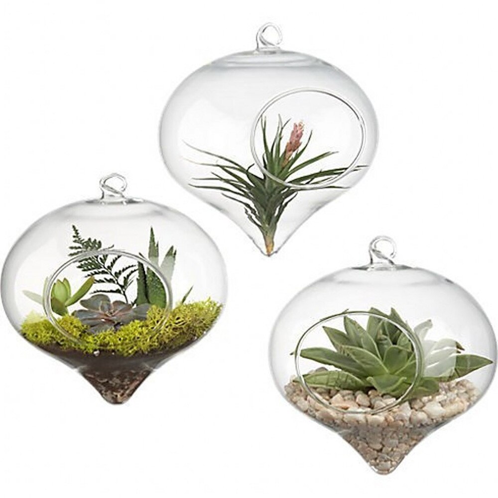 Terrarium Bal Globe Vorm Helder Opknoping Glazen Vaas Bloem Planten Container Ornament Micro Landschap Diy Wedding Home Decor