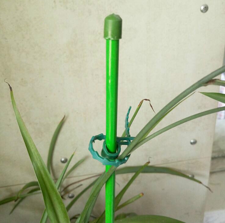 GYH serre-câble de jardin réutilisable | Attaches de Support de plante et d'arbuches, fermeture d'arbre, attaches de câble en Nylon et plastique, attaches de jardin zippées 100 pièces