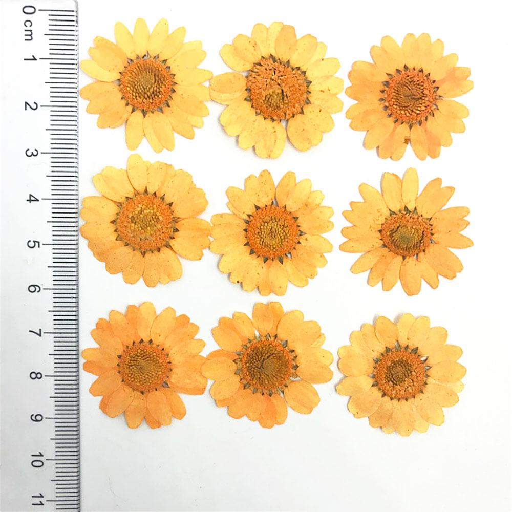 Silicone world Dried Flower Dry Plants For Epoxy Resin Pendant Necklace Jewelry Making Craft DIY Accessories UV Expoxy Flower: GRAY