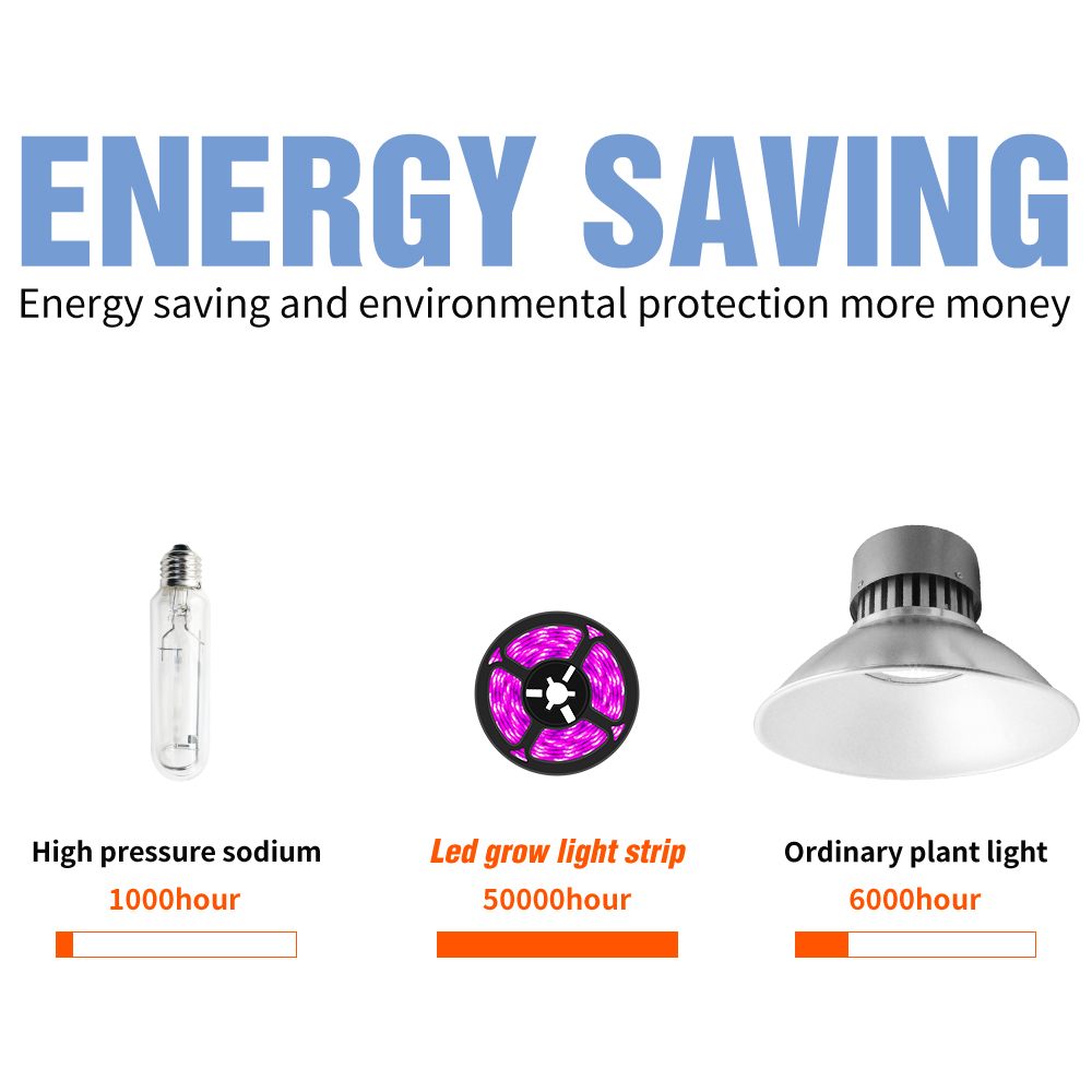 Led Volledige Spectrum Plant Lamp 5V Usb Licht Groeien Strip 0.5M 1M 2Mm 3M Kas hydrocultuur Voor Bloem Zaden Groei Verlichting 2835