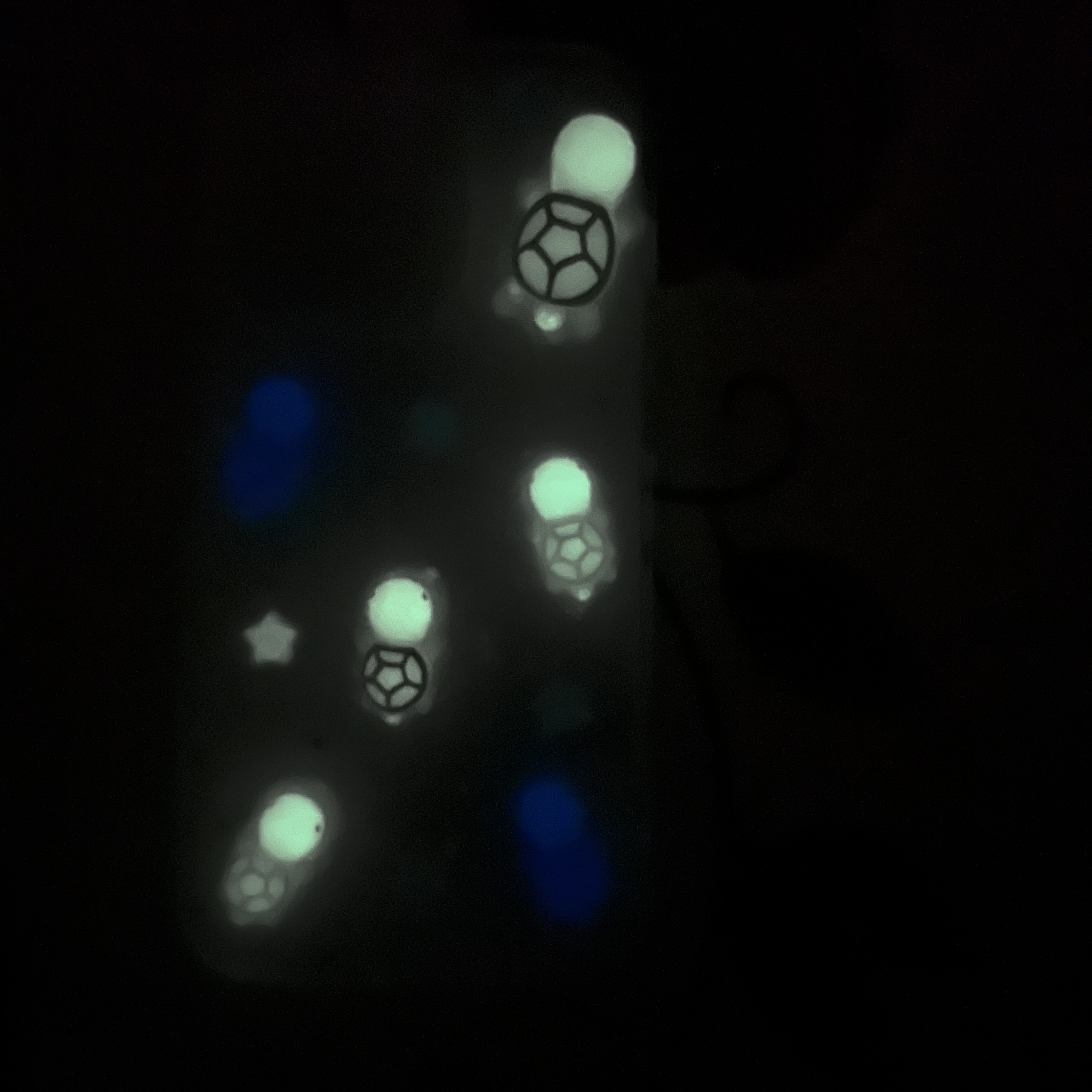 3D Epoxy Luminous Turtle Case For iPhone 16 15 14 13 12 11 Pro Max Plus Clear Soft TPU Cover Skin