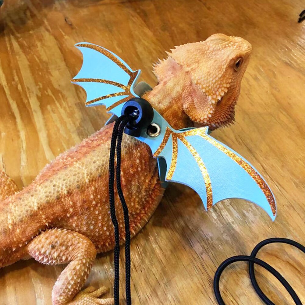 3pz corda di trazione in pelle lucertola regolabile con ali rettile guinzaglio drago barbuto imbracatura anti-morso guinzaglio forniture per animali domestici
