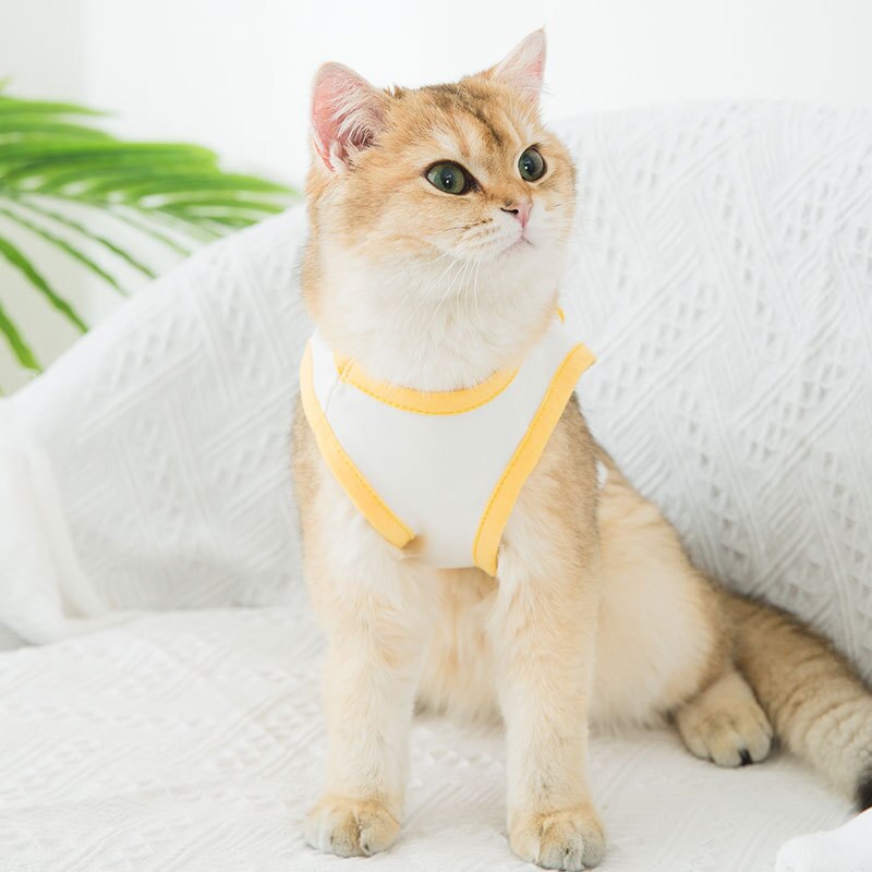 Chaleco Para gato, Ropa fina y transpirable Para mascotas, tridimensional, de dibujos animados, Para perros, novedad de verano