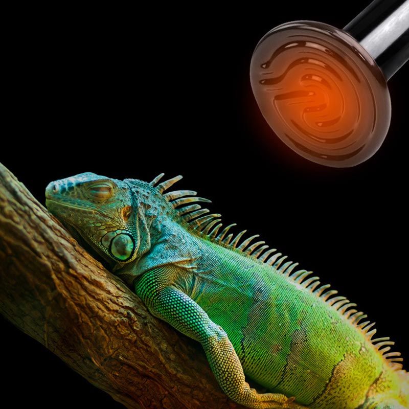 Lámpara de infrarrojos lejanos para reptiles, lámpara de cerámica para calefacción, preservación del calor, Bombilla de calefacción para mascotas, caja de cría, lámpara cálida