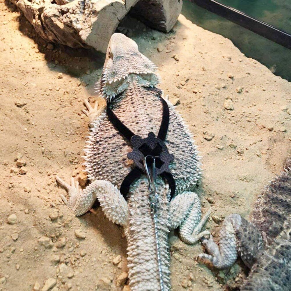 Einstellbare Haustier nutzbar machen und Leine Für Hamster Frettchen Ratte Maus Hase Nylon Geschirre Weste Blei Seil Leine Guinea Schwein Zubehör