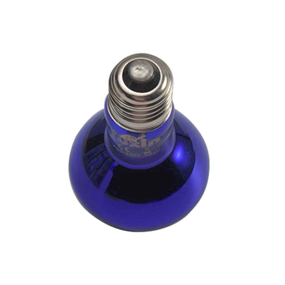 25/50/75/100W Turtle Basking Thermal Spotlight Pet Heating Reptile Heat Bulb Sun Lamp Night Light Aquarium Warm Chicken Warmer: Blue 50W