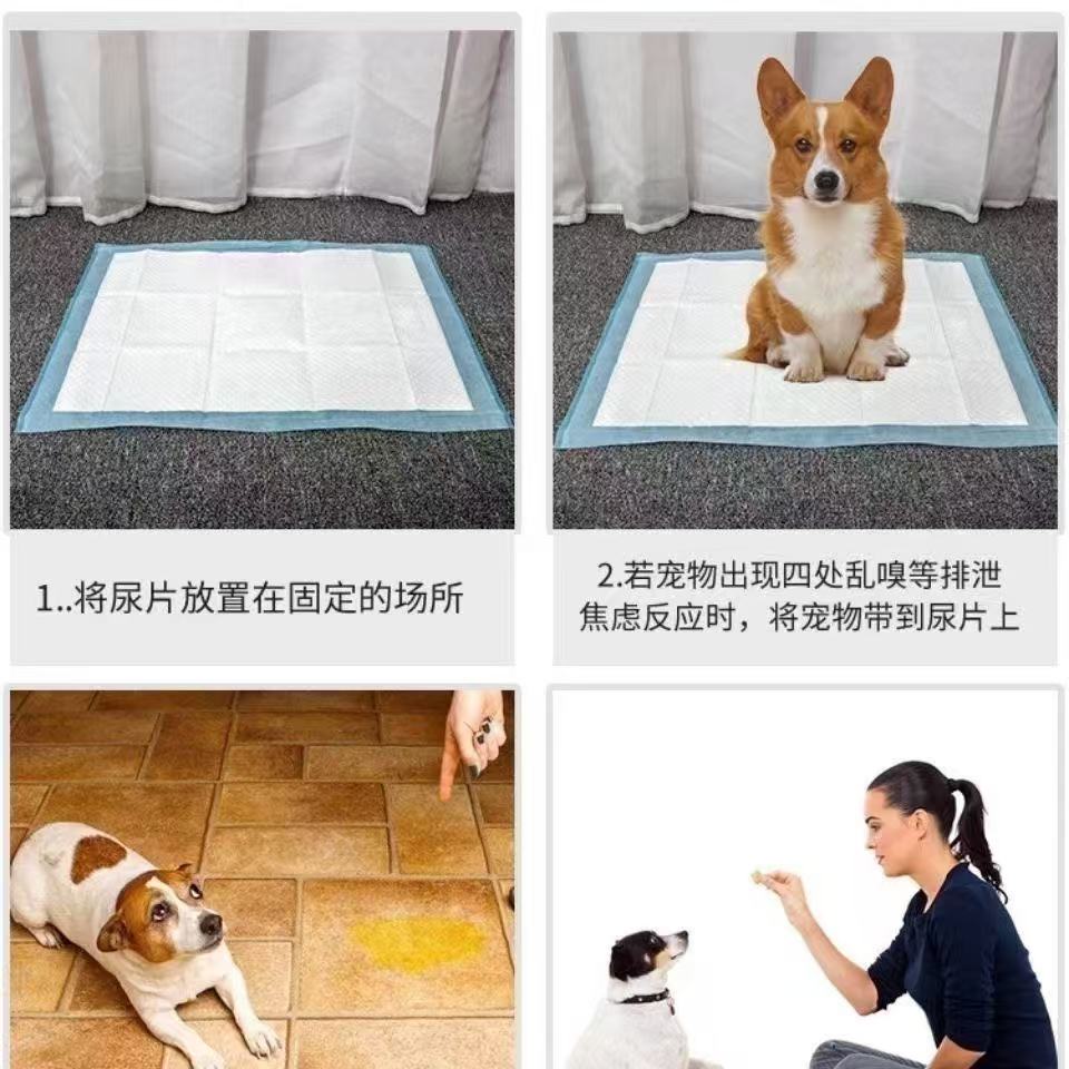 Pañales absorbentes para perros, almohadillas desechables para entrenamiento de cachorros, superficie de secado rápido, cojín limpio, suministros para perros, 100/50/40/20 piezas