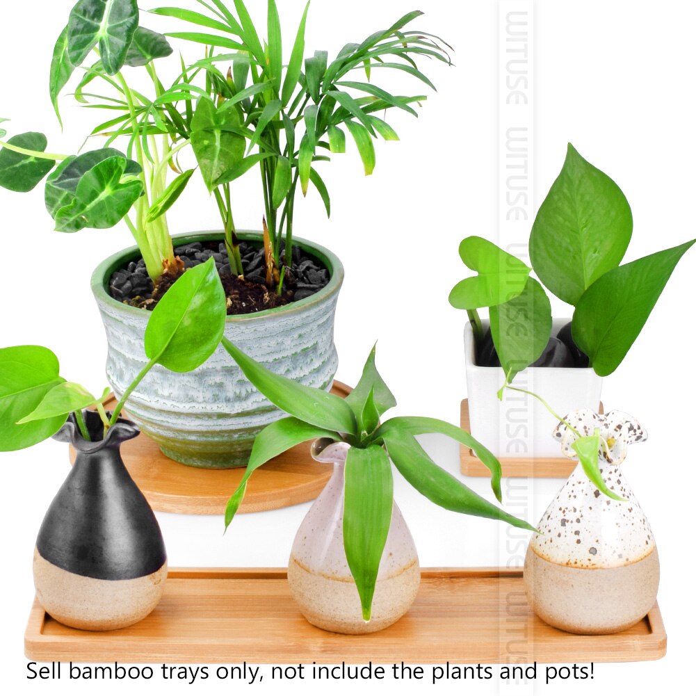 2pc Bamboo Home Mini World Garden Decoration Pot Trays Miniature Figurines Flowerpot Plate DIY Accessories Ornaments