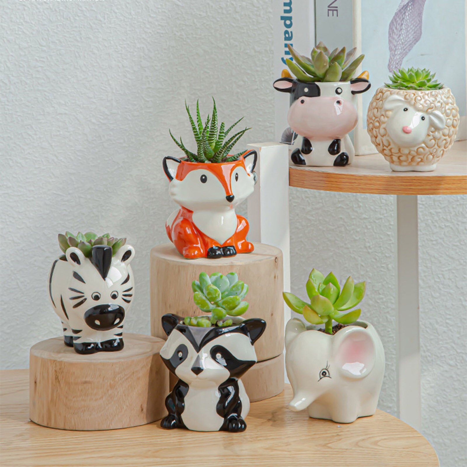 Maceta animales de cerámica, macetas suculentas, Cactus, macetas para plantas, bonsái, decoración de macetas para el hogar y el jardín