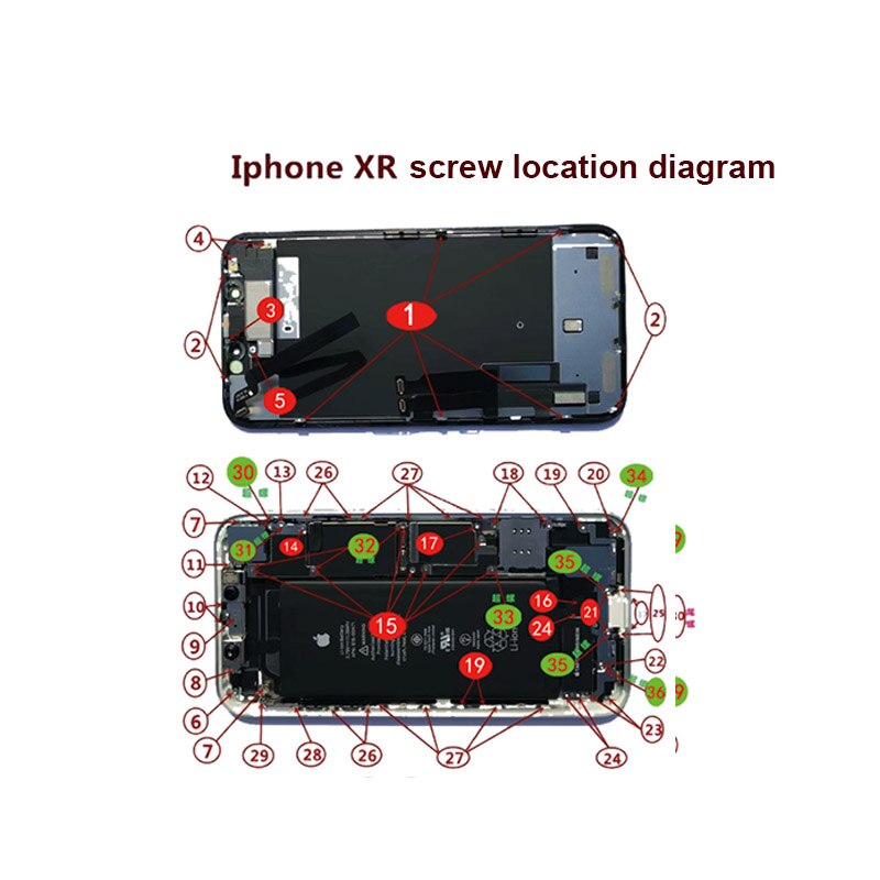 Full Screw Set for iPhone XS XSMAX XR X 6SP 6S 6P 6 Repair bolt Complete Kit Replacement Parts Screws Fix phone Accessories: For XR
