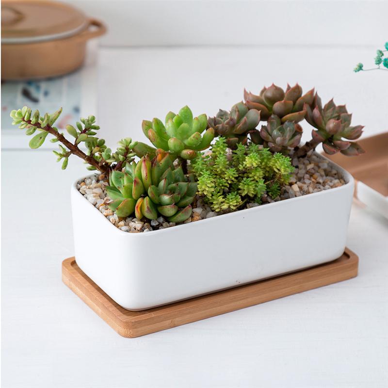 Keramische langwerpige bloempot met bamboe schaal vetplantenbak tuin bonsai pot bloempot wit  (1pc bloempotten 1pc bamboe schaal)