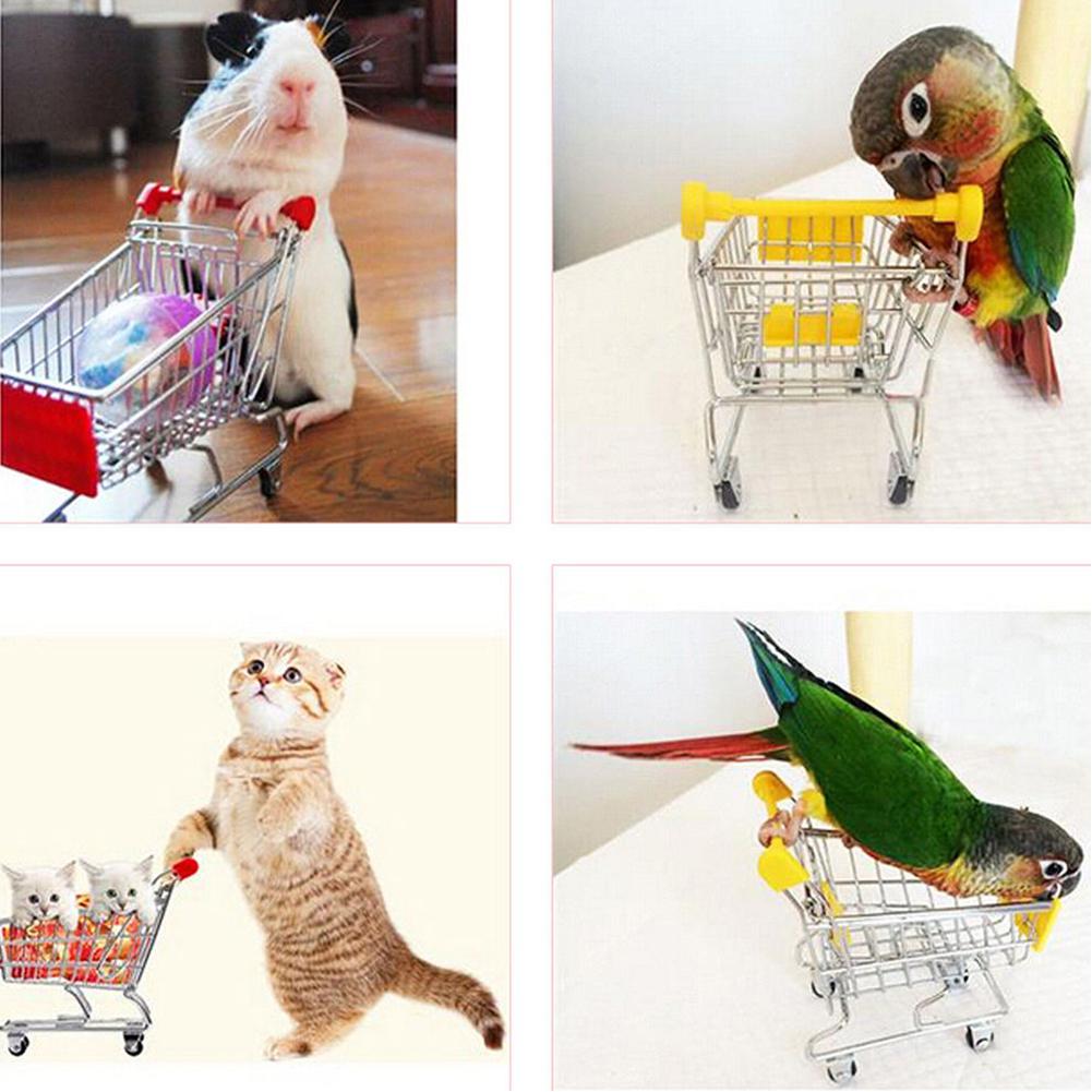 Mini carrito de compras con forma de pájaro loro juguete de desarrollo de la inteligencia