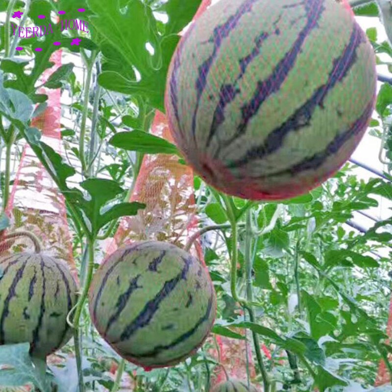 100Pcs Reusable Red Gardening net plastic mesh bags of fruit string watermelon grown bag Fruit growth mesh 4 size