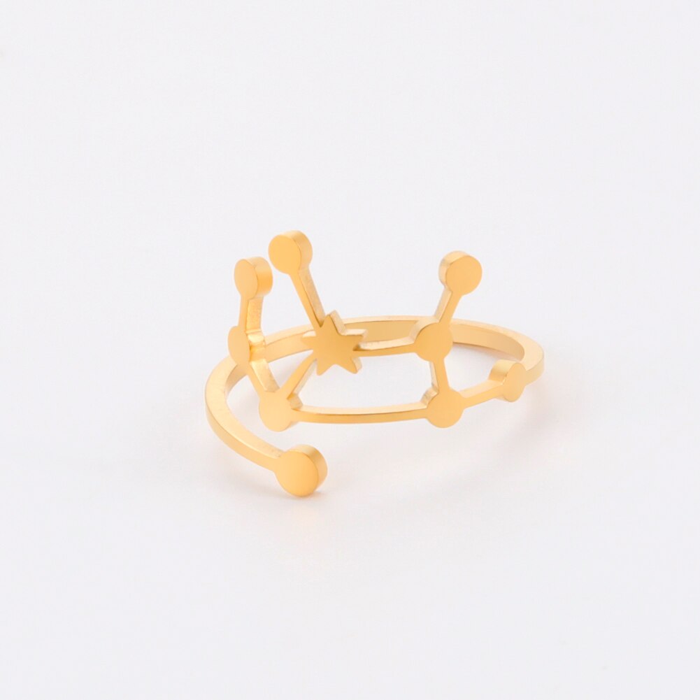 COOLTIME 12-Sternbild-Damenring, Edelstahl, Sternzeichen, verstellbare Ringe, Löwir, Jungfrau, Waage, Fische, Schmuck, Geburtstagsgeschenk: Rose rot