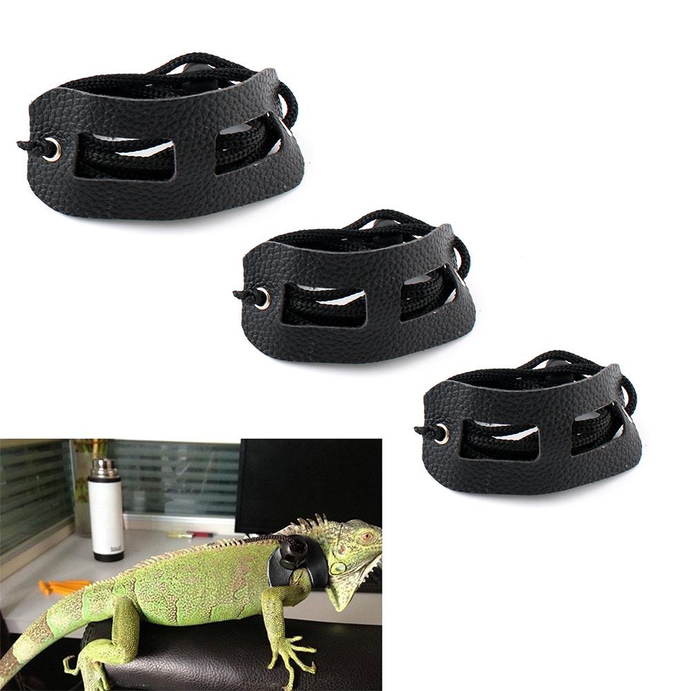 Harnais en cuir réglable pour petit animal de compagnie, avec col en laisse, pour transport en plein air, corde de Traction