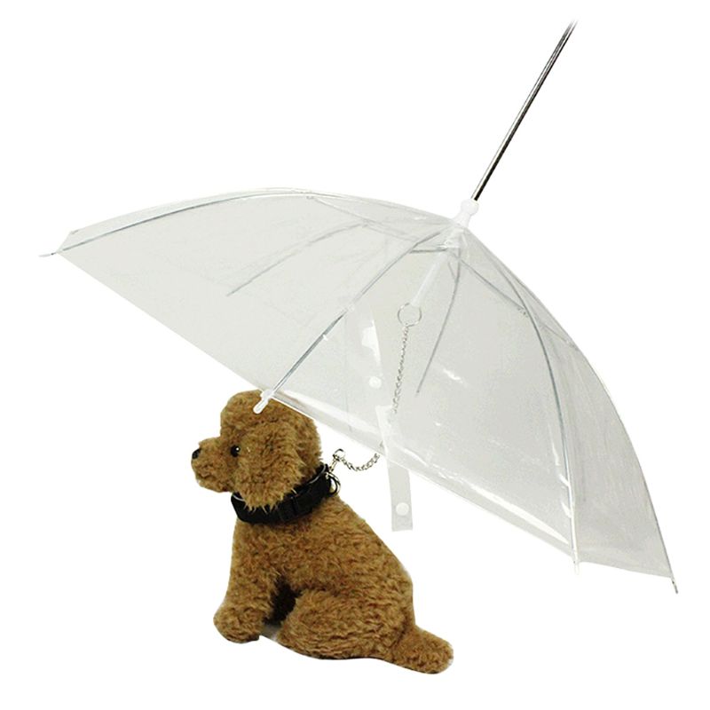 Paraguas transparente portátil para caminar para perros pequeños, gatos y mascotas, con cadena para mantenerse seco en la lluvia, herramienta de engranaje para exteriores