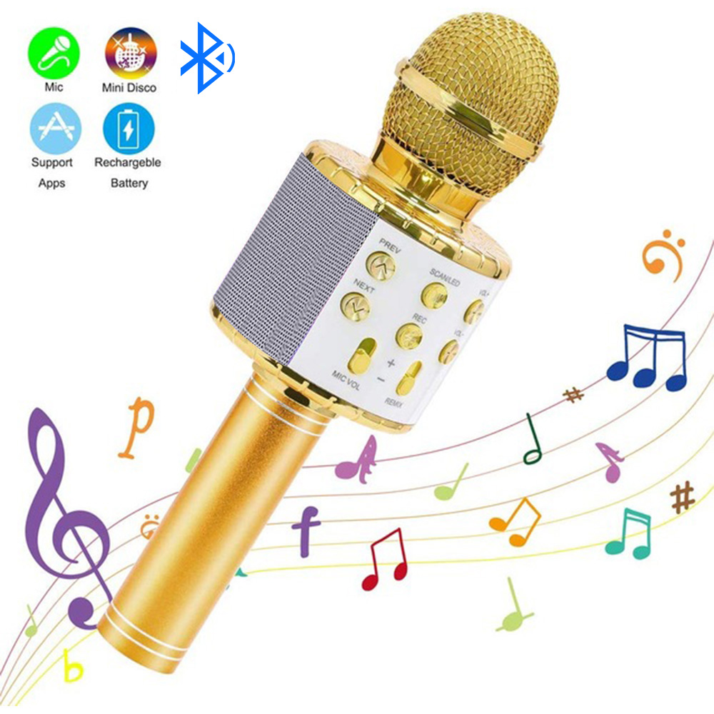 WS858 microfono Bluetooth senza fili per microfono portatile per uso domestico con microfono portatile per uso domestico
