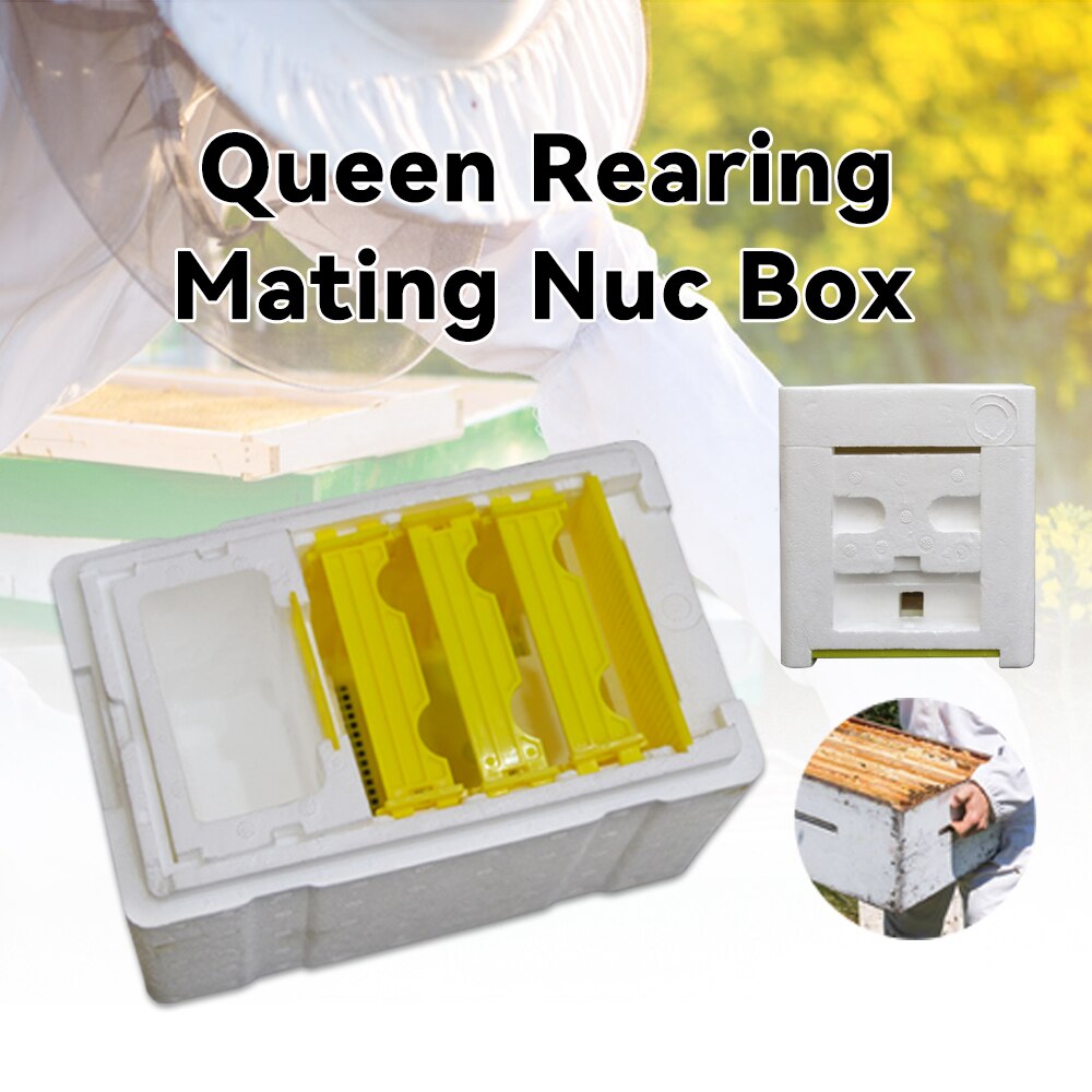 Queen Bee Rearing Mating Beehive Nuc Harvest Pollination Bees Hive Box Reserve Beekeeping Tools For Beekeeper Supplies