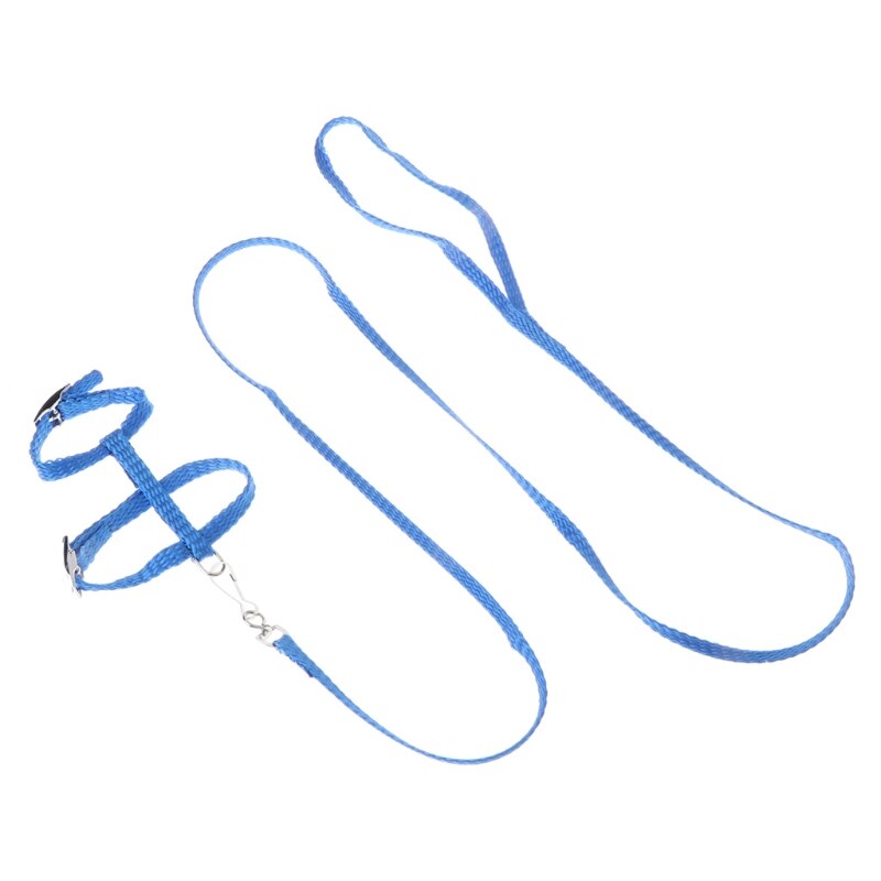 Adjustable Hedgehog Harness For Training Playing Traction Rope Cord For Pets