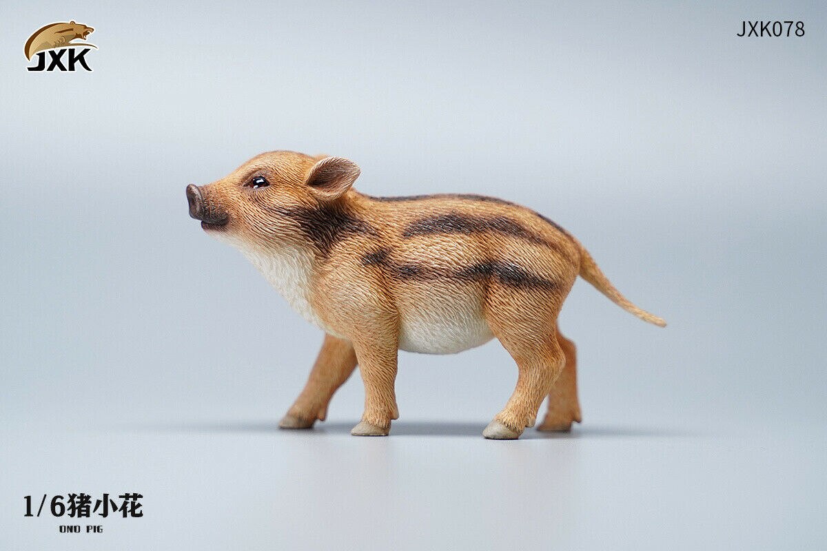 JXK 1/6 Lion&#39;s Buddy Model Suricate Pig Warthog Lionet Figure Animal Collect Christmas Decoration Ornaments Adults Kids: JXK078