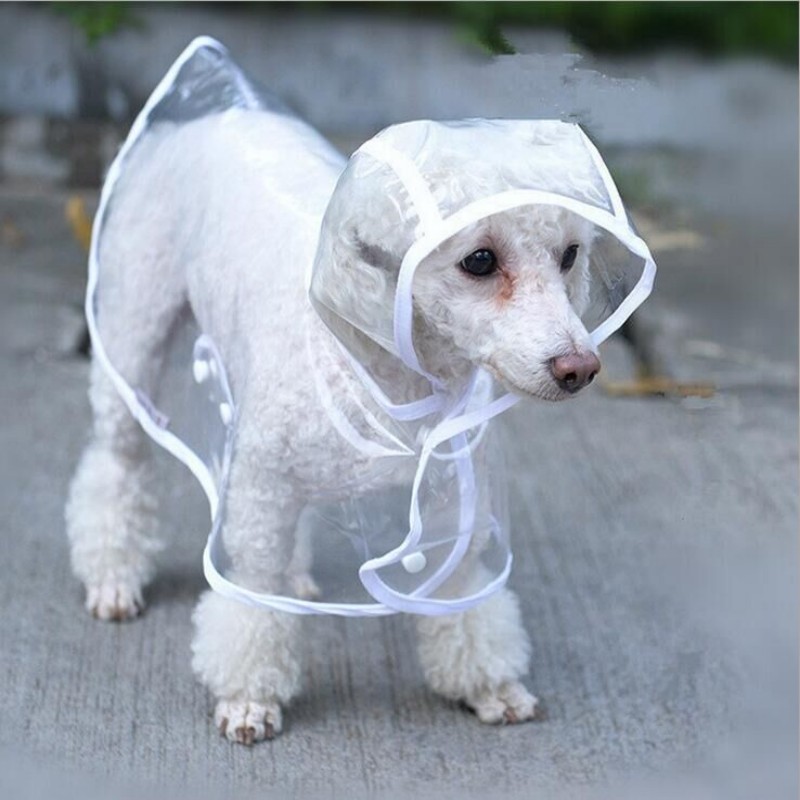 Capa de chuva para cães de estimação, roupas transparentes para cachorros, à prova d'água, macacão para cães pequenos e grandes, XS-7XL