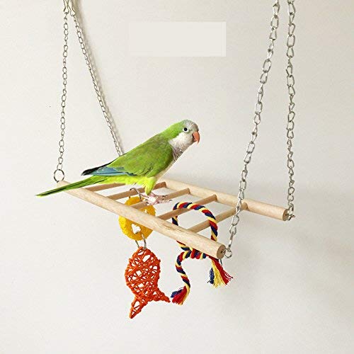 Fugl træ klatrestige papegøje farverig hængebro til parakit cockatiel conure kakadue undulat dværgpapegøje fink kanariefugl