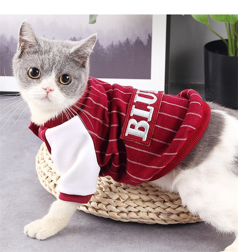 Veste pour chat vêtements pour chat