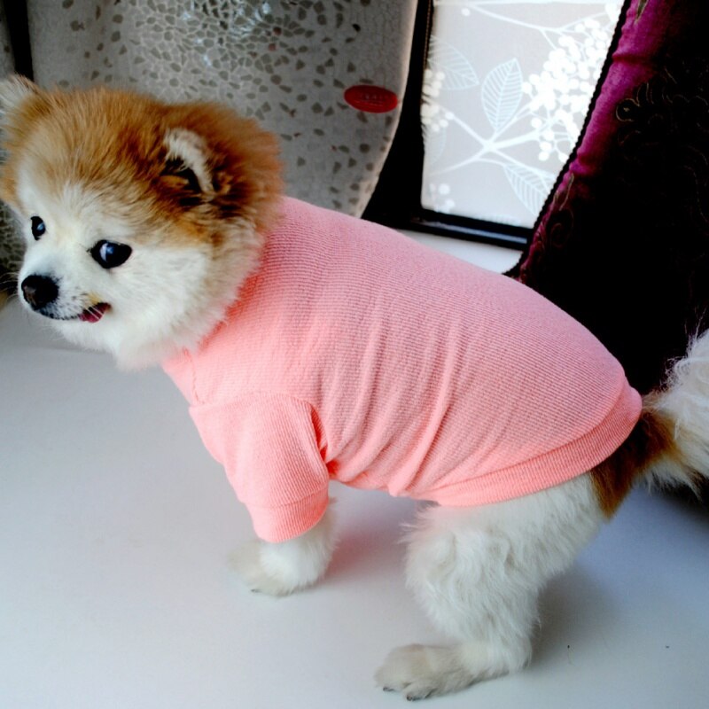 T-Shirt pour animal de compagnie, T-Shirt pour petit chiot, Chihuahua, chiot, chat, Teddy, vêtement de printemps