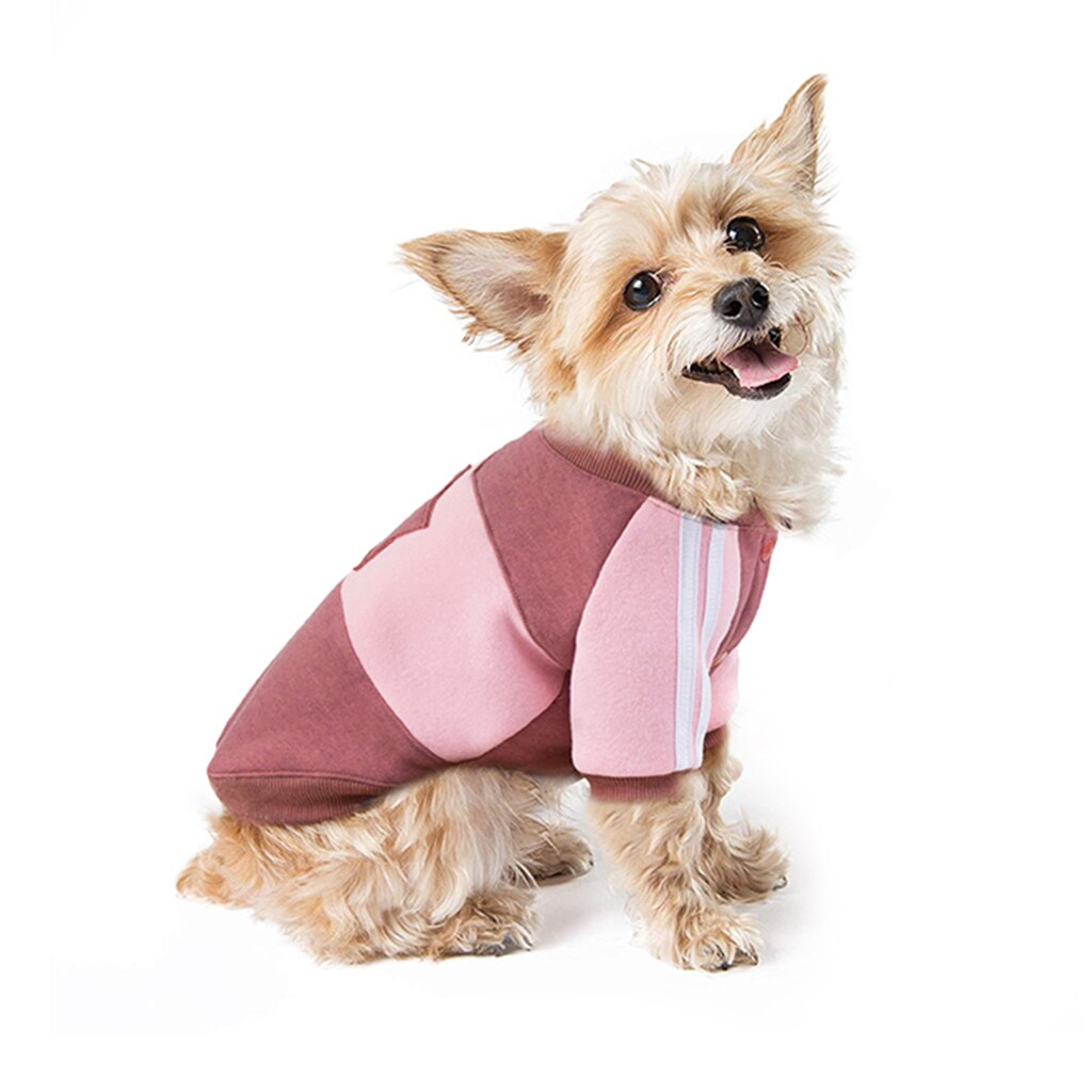 Warm Dog Clothes Hoodie Soft Apparel Costume for Small Dogs Teddy Unisex