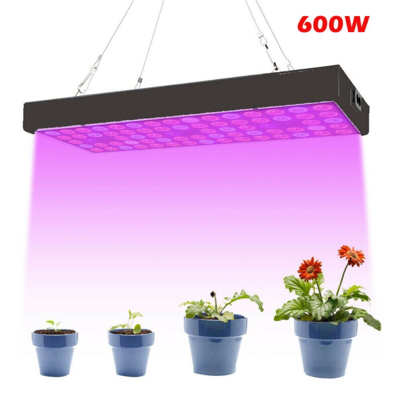 600w 75 førte vokse lys uv voksende lampe til indendørs plante hydroponic plante lampe