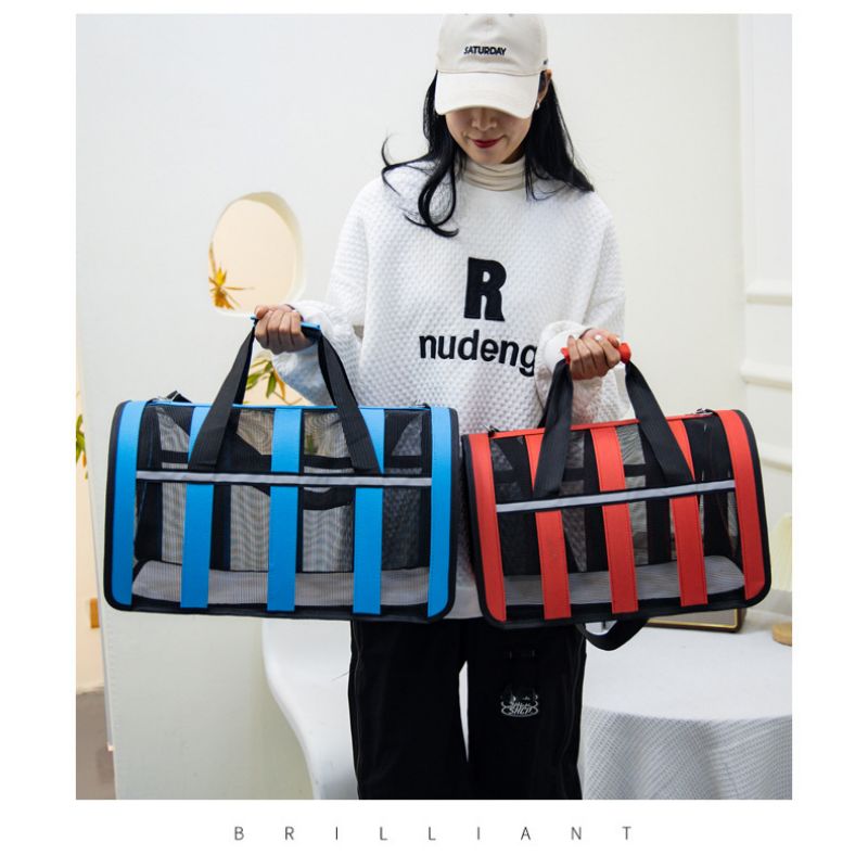Pet Carrying Case Bag Comfortable Space Capsule Portable Cat Handbag Breathable Dog Out Bag Strap Carrier Travel