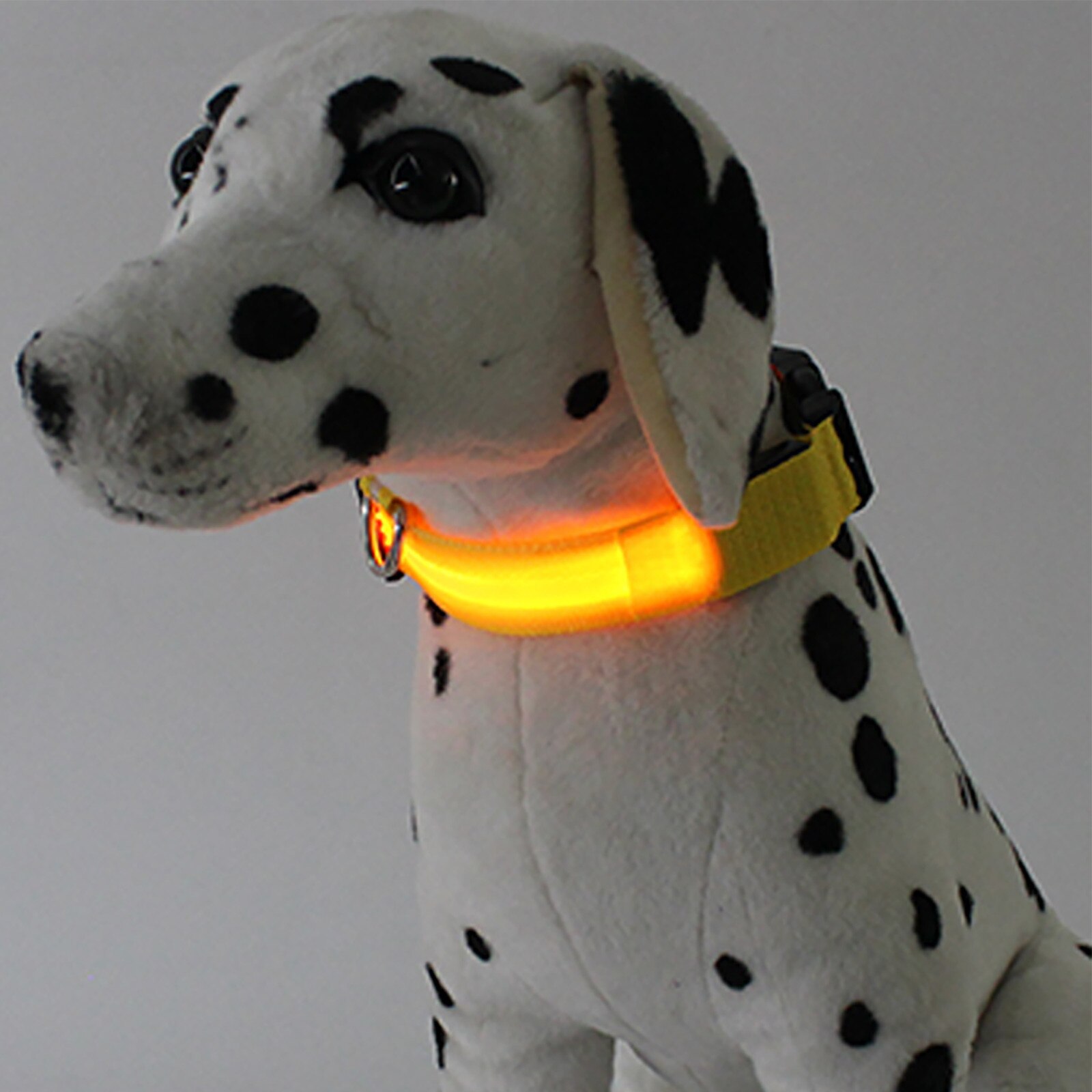 LED dog collar USB rechargeable, suitable for small and medium-sized dogs