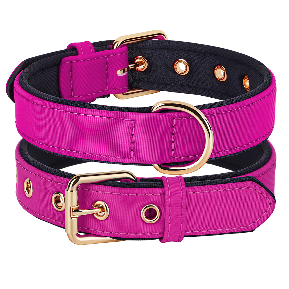 Collier en nylon imperméable pour chien, 8 couleurs, doux, rembourré, respirant, colliers pour animaux de compagnie, petits et moyens chiens, Chihahua, PDPDog, accessoires: S / Rose Red