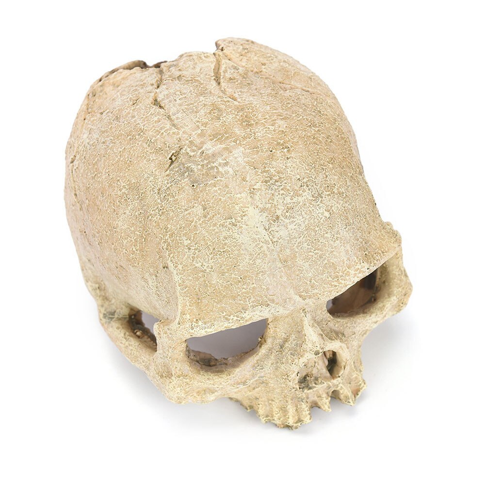 Aquarium decoration Fish Tank Aquarium Ornament Terrarium Decorations Resin Skull Human Skeleton Fish tank decor #81640