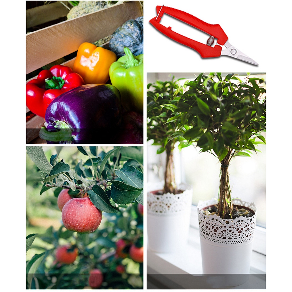Tijeras de podar de jardín, tijeras de ramas en maceta, recolección de frutas, pequeñas, herramientas de mano para el hogar, herramientas de jardinería de granja de huerto