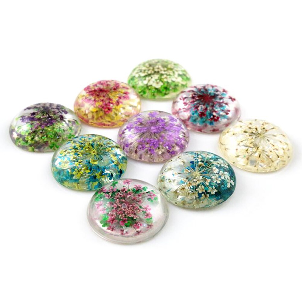 5pcs 25mm Mixed Natural Dried Flowers Flat Back Resin Cabochons Cameo: G3-22-Mix