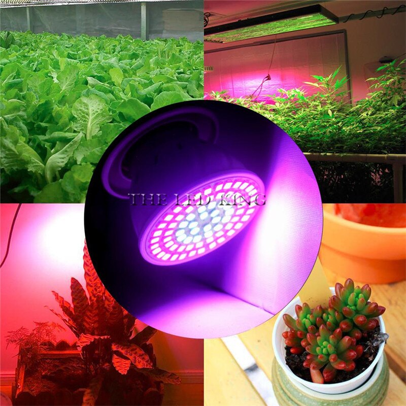 Led odlingslampa fullspektrumlampor för växtblommor  e24 e14 gu10 mr16 b22 220v 48 lysdioder 60 lysdioder 80 lysdioder fytoväxtlampor