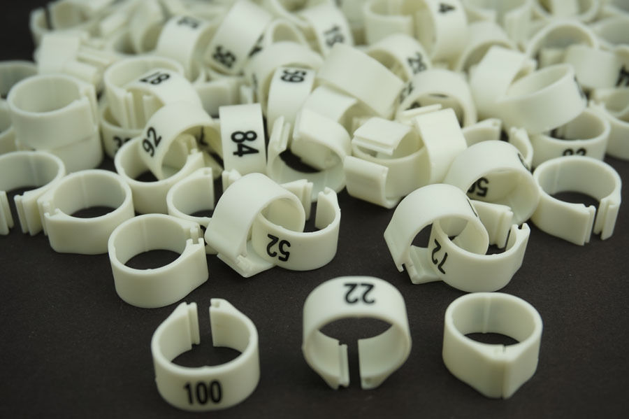100 PCS/Lot White 14MM Dia 001-100 Numbered Chicken Leg Bands duck Chicken Goose Pet Rings