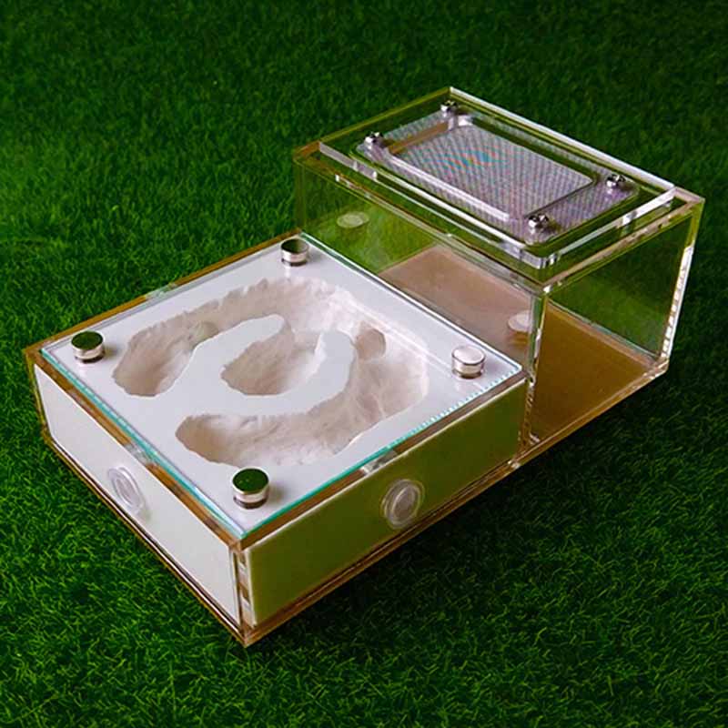 Model magnetyczny bioniczny płaski tynk gniazdo dla zwierząt domowych zamek skrzynka mrówki gospodarstwo domowe Terrarium dla gadów wyjątkowe prezenty: styl A