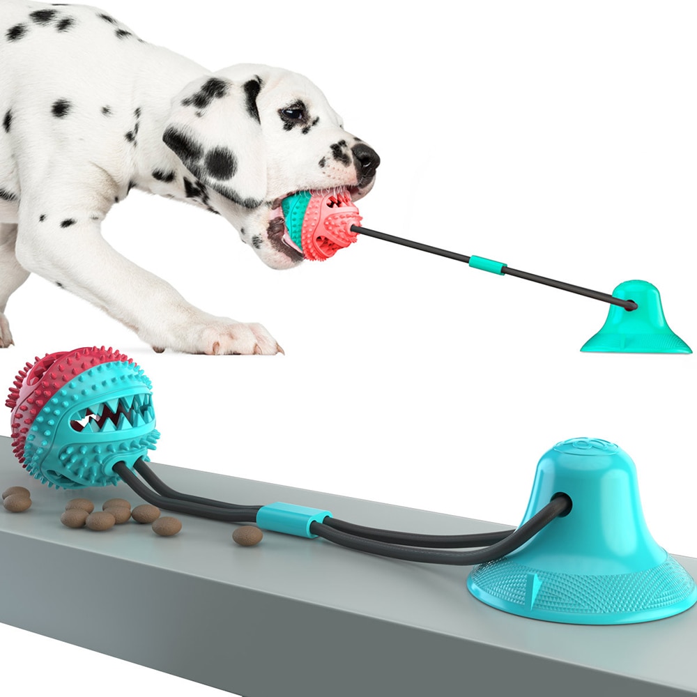 Qicco hundetræning kæledyrs legetøj sugekop legetøj med bold hundelegetøj gummi hundelegetøj trending produkter kæledyr tand rengøring gummibold