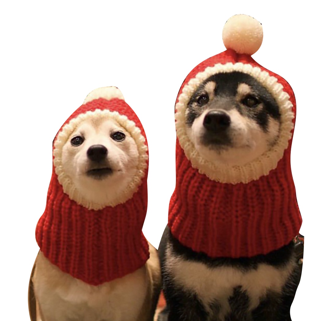 Strikket kæledyr hat varm behagelig dejlige hund h... –