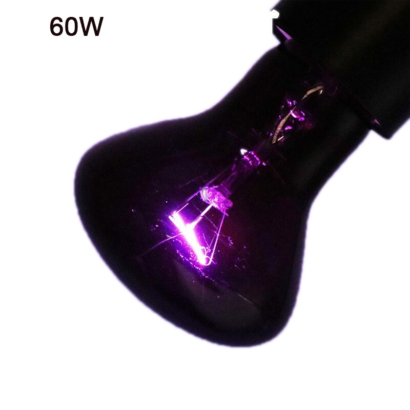 Lámpara calefactora para reptiles, luz roja cálida de noche, aislamiento térmico para lagartos, tortugas, iluminación de animales: Purple-60W