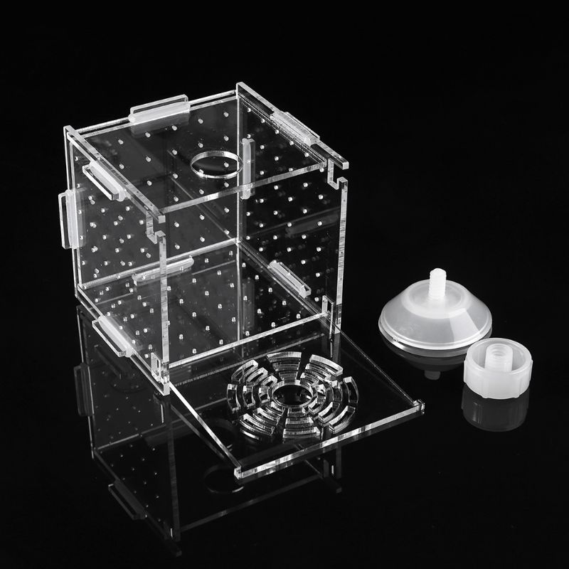 Aquarium Visteelt Isolatie Box Baby Vis Incubator Hatch Fokker Fish Tank