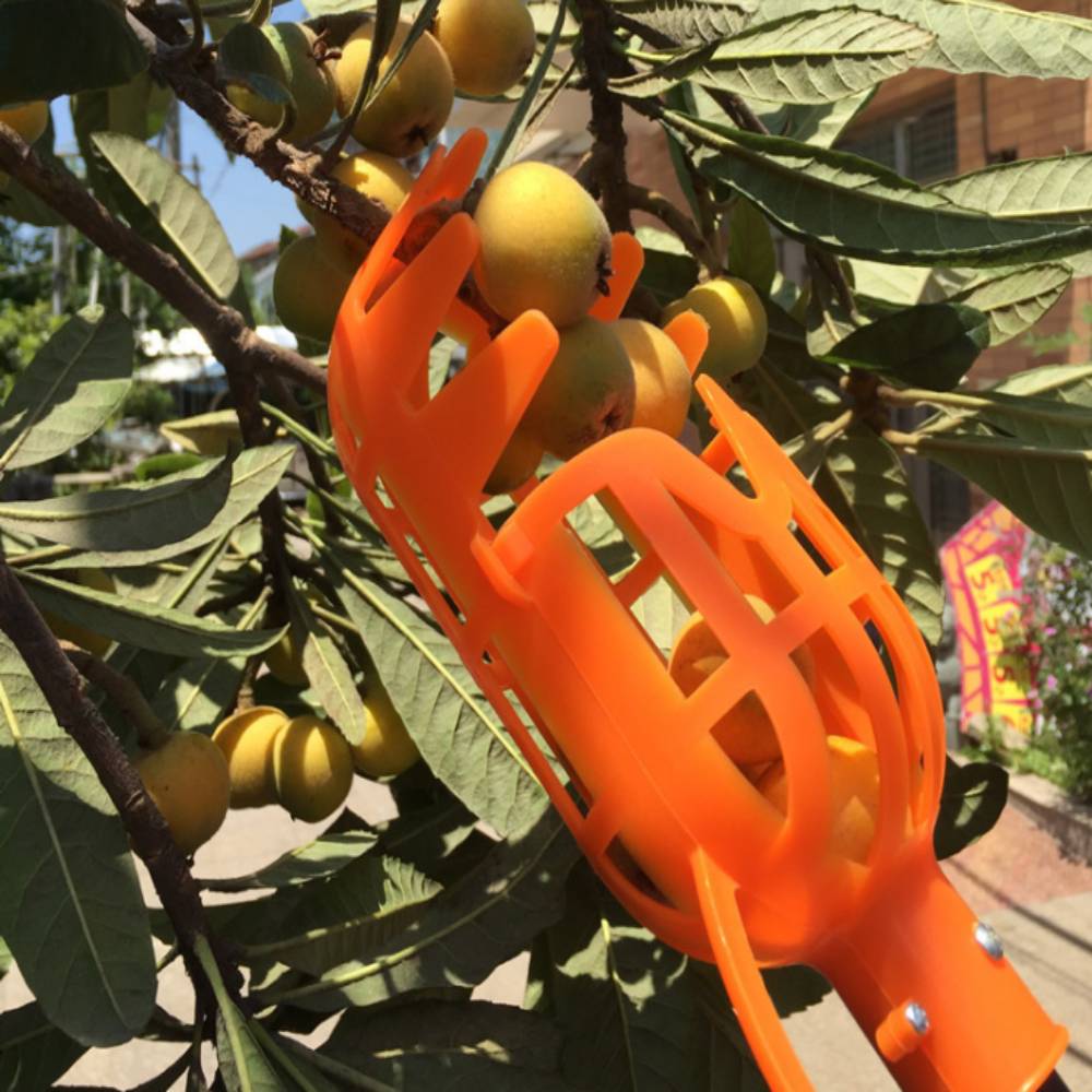 1Pcs Garden tools fruit picker gardening fruits Collection picking Head tool Fruit Catcher Device Greenhouse pick tools